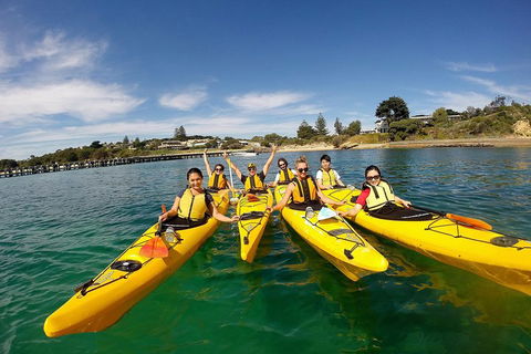 Mornington Peninsula Kayak Coastline Tour Of Dolphin Sanctuary - Geraldton Accommodation 2
