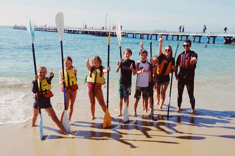 Mornington Peninsula Kayak Coastline Tour Of Dolphin Sanctuary - Geraldton Accommodation 3