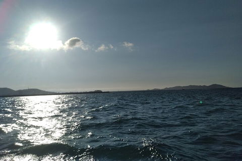 Townsville Small Group Early Morning Sailing Cruise Boat Tour Charter Hire - Geraldton Accommodation 4