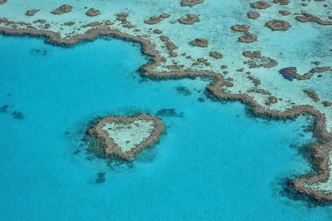 Reef And Island Scenic Flight From Airlie Beach - Geraldton Accommodation 5