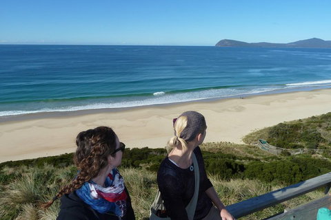 Small-Group Day Trip From Hobart To Bruny Island - Geraldton Accommodation 3