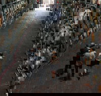 Wirra Wirra Vineyard McLaren Vale Winery Tour and Shiraz Masterclass - Geraldton Accommodation