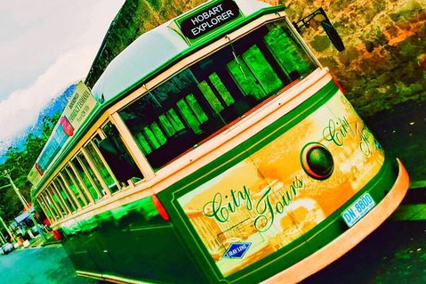 Hobart Half-Day Sightseeing Coach Tram Tour - Geraldton Accommodation 5