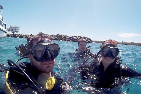 Wave Break Island Scuba Diving On The Gold Coast - Geraldton Accommodation 0