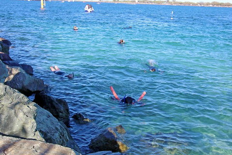 Wave Break Island Scuba Diving On The Gold Coast - Geraldton Accommodation 1