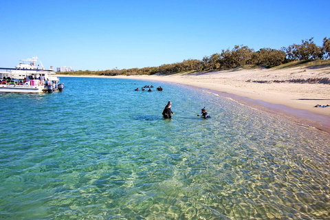 Wave Break Island Scuba Diving On The Gold Coast - Geraldton Accommodation 4
