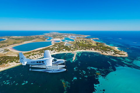 Full Day Tour By Seaplane To Rottnest Island Small Group Trip - Geraldton Accommodation 1