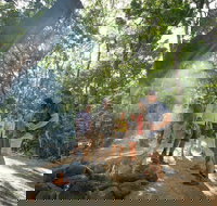 Mossman Gorge Adventure Day - Geraldton Accommodation