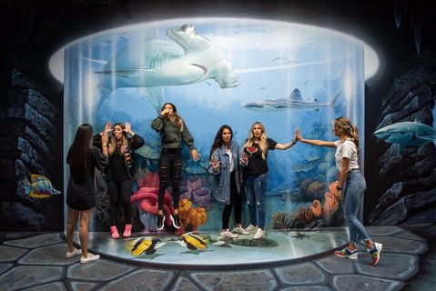 ArtVo Immersive Gallery Experience - Geraldton Accommodation 2