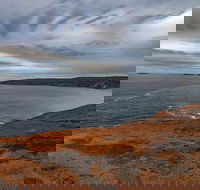 Kangaroo Island Luxury Small Group 'Flinders Chase Focus' Full Day Tour - Geraldton Accommodation