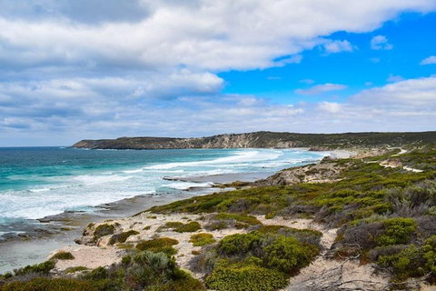 Kangaroo Island Luxury Small Group 'East End Explorer' Full Day Tour - Geraldton Accommodation 0