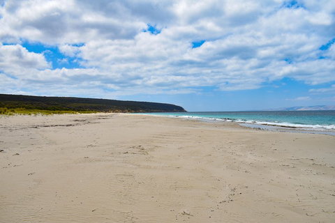 Kangaroo Island Luxury Small Group 'East End Explorer' Full Day Tour - Geraldton Accommodation 3