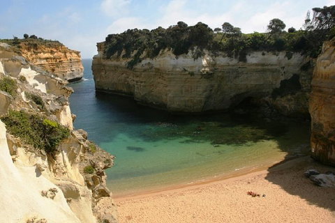 Melbourne Super Saver: Great Ocean Road + Mornington Peninsula + Attraction Pass - Geraldton Accommodation 3