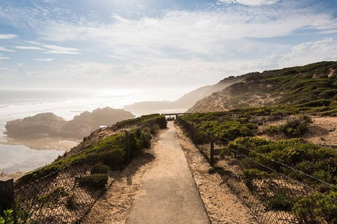 Melbourne Super Saver: Great Ocean Road + Mornington Peninsula + Attraction Pass - Geraldton Accommodation 4
