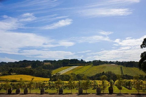 Melbourne Super Saver: Great Ocean Road + Mornington Peninsula + Attraction Pass - Geraldton Accommodation 5