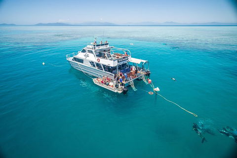 Ocean Freedom Great Barrier Reef Personal Luxury Snorkel & Dive Cruise, Cairns - Geraldton Accommodation 0