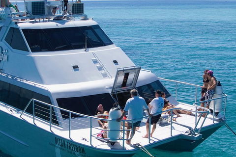 Ocean Freedom Great Barrier Reef Personal Luxury Snorkel & Dive Cruise, Cairns - Geraldton Accommodation 1