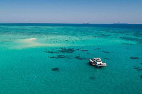 Ocean Freedom Great Barrier Reef Personal Luxury Snorkel & Dive Cruise, Cairns - Geraldton Accommodation 2
