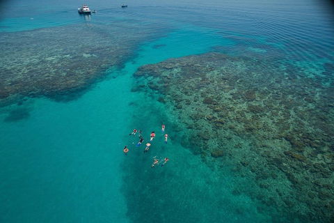 Ocean Freedom Great Barrier Reef Personal Luxury Snorkel & Dive Cruise, Cairns - Geraldton Accommodation 3