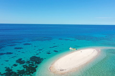 Ocean Safari Great Barrier Reef Experience In Cape Tribulation - Geraldton Accommodation 0
