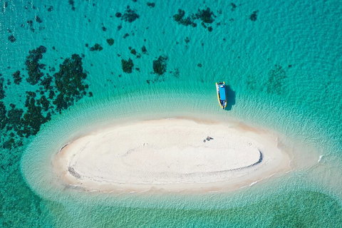 Ocean Safari Great Barrier Reef Experience In Cape Tribulation - Geraldton Accommodation 3