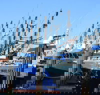 One Day Port Lincoln Tour - Tasting Eyre - Geraldton Accommodation