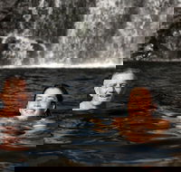 3 Day 4WD Dragonfly Dreaming Top End Safari