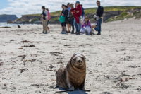 Book Viator Accommodation Vacations Geraldton Accommodation Geraldton Accommodation
