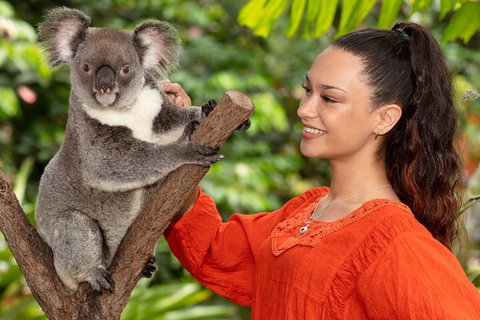 Kuranda Wildlife Experience Three Attraction Pass - Geraldton Accommodation 4