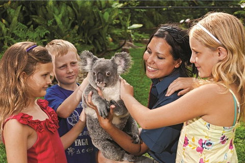 Kuranda Koala Gardens General Entry Ticket - Geraldton Accommodation 0