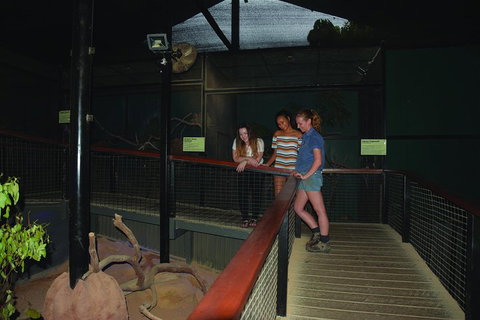 Kuranda Koala Gardens General Entry Ticket - Geraldton Accommodation 2