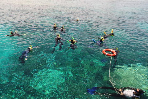 Seastar Luxury Outer Great Barrier Reef Island And Reef Tour From Cairns - Geraldton Accommodation 2