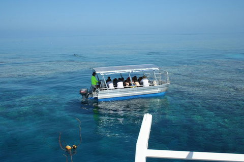 Seastar Luxury Outer Great Barrier Reef Island And Reef Tour From Cairns - Geraldton Accommodation 5
