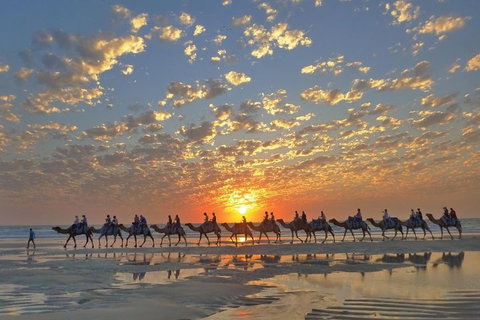 Broome City Sightseeing Tour With Optional Camel Ride - Geraldton Accommodation 1