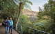 Blue Mountains Hop-on Hop-off Tour With Optional Scenic World Rides - thumb 3