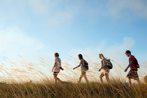 Kakadu National Park Wildlife And Ubirr Rock Art Tour From Darwin City - Geraldton Accommodation 4