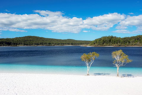 All-Inclusive Fraser Island Day Tour - Geraldton Accommodation 3