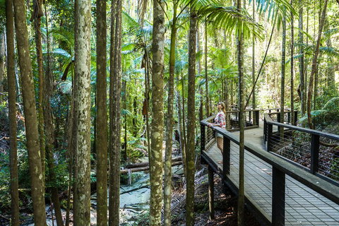 All-Inclusive Fraser Island Day Tour - Geraldton Accommodation 5