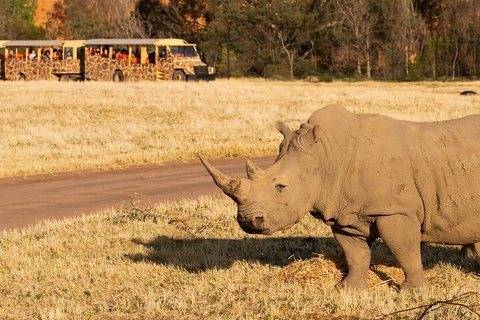 Sunset Safari At Werribee Open Range Zoo - Geraldton Accommodation 1
