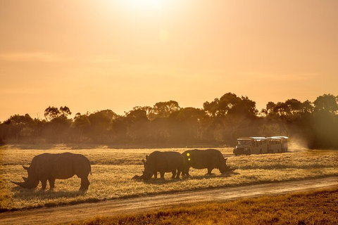 Sunset Safari At Werribee Open Range Zoo - Geraldton Accommodation 2