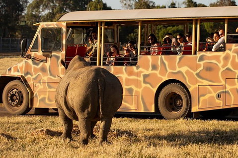 Sunset Safari At Werribee Open Range Zoo - Geraldton Accommodation 5