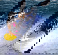 2-Day Moreton Island Tour from Brisbane or Gold Coast with Optional Nighttime Kayaking