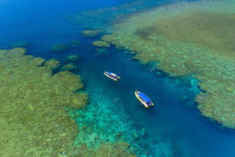 Great Barrier Reef Scenic Flight And Ocean Rafting Whitehaven Beach Day Trip - Geraldton Accommodation 4