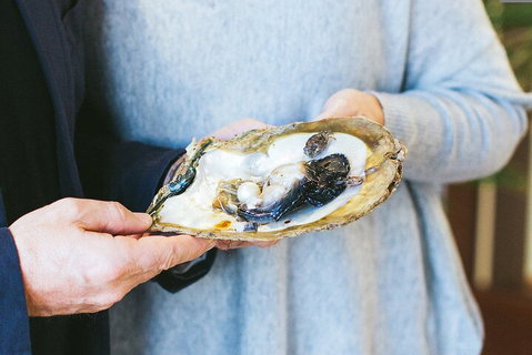 Half-Day Willie Creek Pearl Farm Tour With Helicopter Flight - Geraldton Accommodation 3