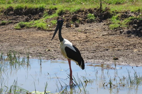 Darwin To Kakadu Day Trip By Air Including Yellow Water Cruise - Geraldton Accommodation 0