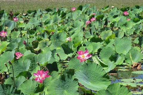 Darwin To Kakadu Day Trip By Air Including Yellow Water Cruise - Geraldton Accommodation 2