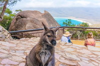 Book Viator Accommodation Vacations Geraldton Accommodation Geraldton Accommodation