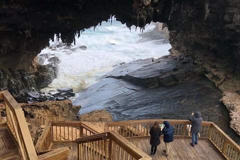 Kangaroo Island 4WD Tour - Best Of KI - Geraldton Accommodation 1