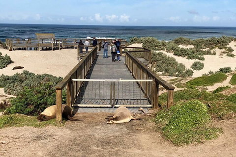 Kangaroo Island 4WD Tour - Best Of KI - Geraldton Accommodation 2