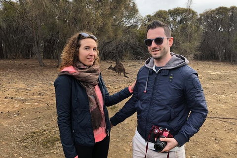 Kangaroo Island 4WD Tour - Best Of KI - Geraldton Accommodation 3